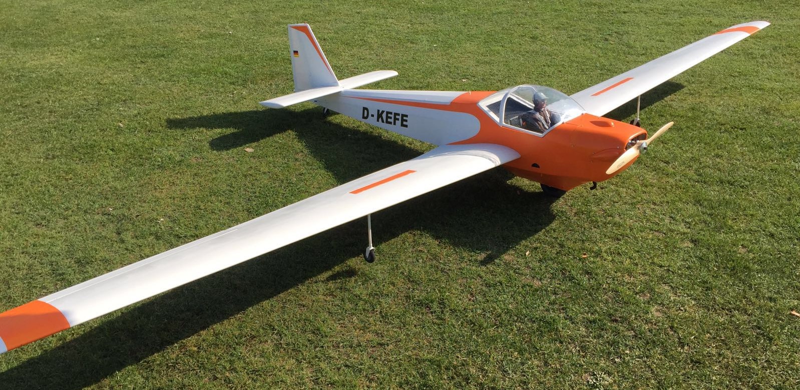 falke1